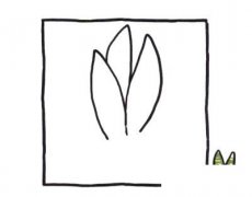 虎皮兰简笔画图片