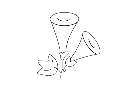 牵牛花简笔画完成图