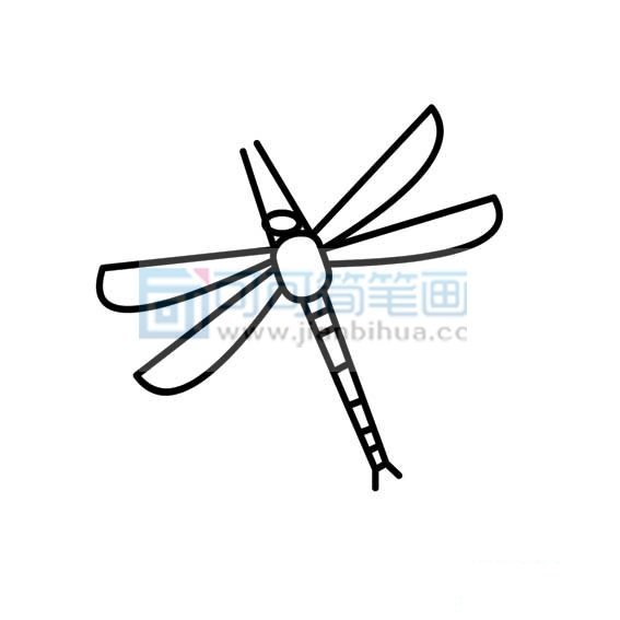 蜻蜓的简单画法