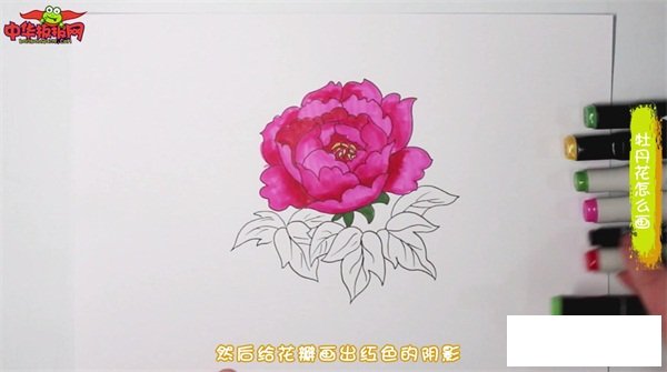牡丹花怎么画