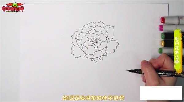 牡丹花怎么画