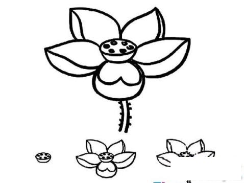 简笔画荷塘月色的具体画法步骤图片教程