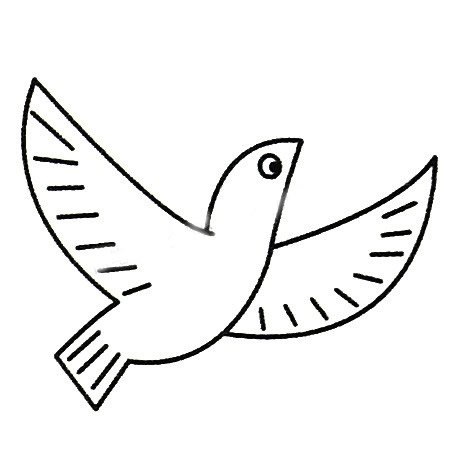鸽子简笔画