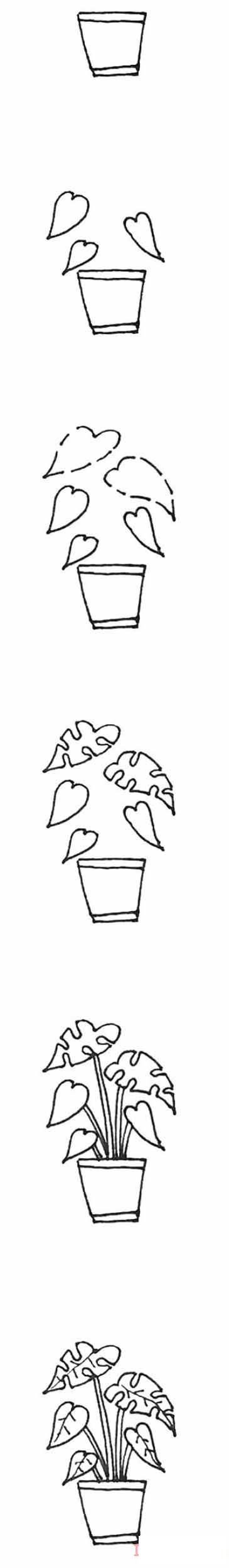 龟背竹盆栽怎么画好看_盆栽简笔画图片