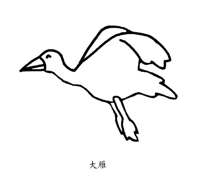 大雁简笔画图片