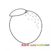 水果简笔画：橘子4