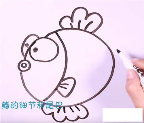 简笔画金鱼的画法步骤图解教程 手把手教你画金鱼
