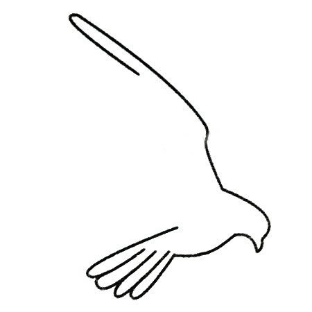 鹰简笔画