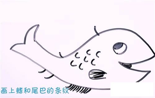 淡水鱼简笔画