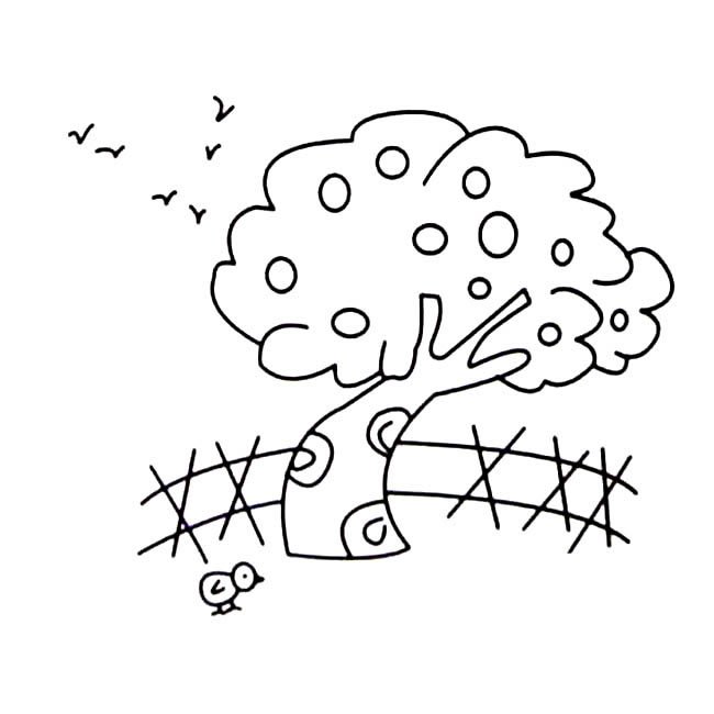 果园里的果树植物简笔画步骤图片大全