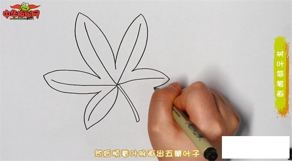 树叶简笔画