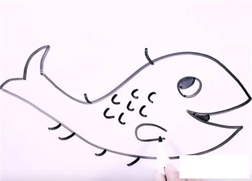 淡水鱼简笔画