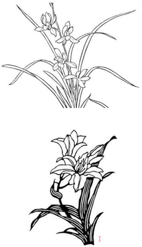 手绘兰花怎么画简单漂亮兰花简笔画图片