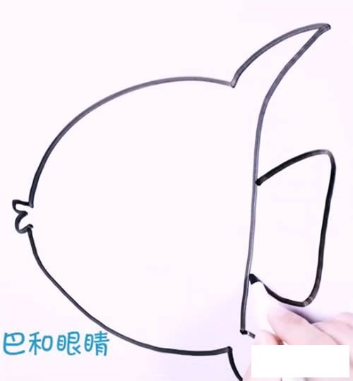 简笔画热带鱼的画法 热带鱼简笔画步骤图片
