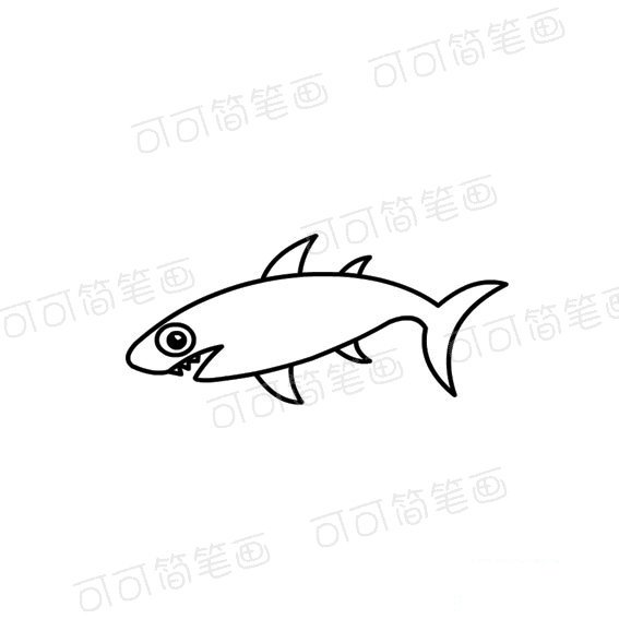 少儿学画鲨鱼的简笔画法