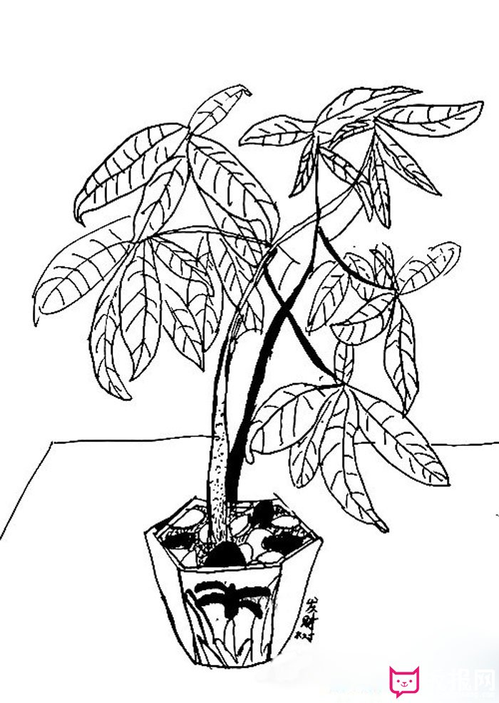 2017年春节发财树简笔画怎么画