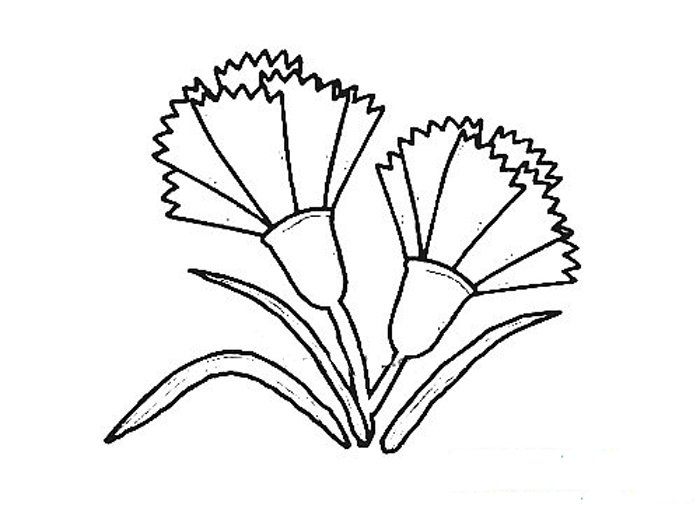 杜鹃花简笔画