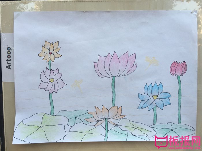 漂亮的儿童画作品图片，夏日荷花