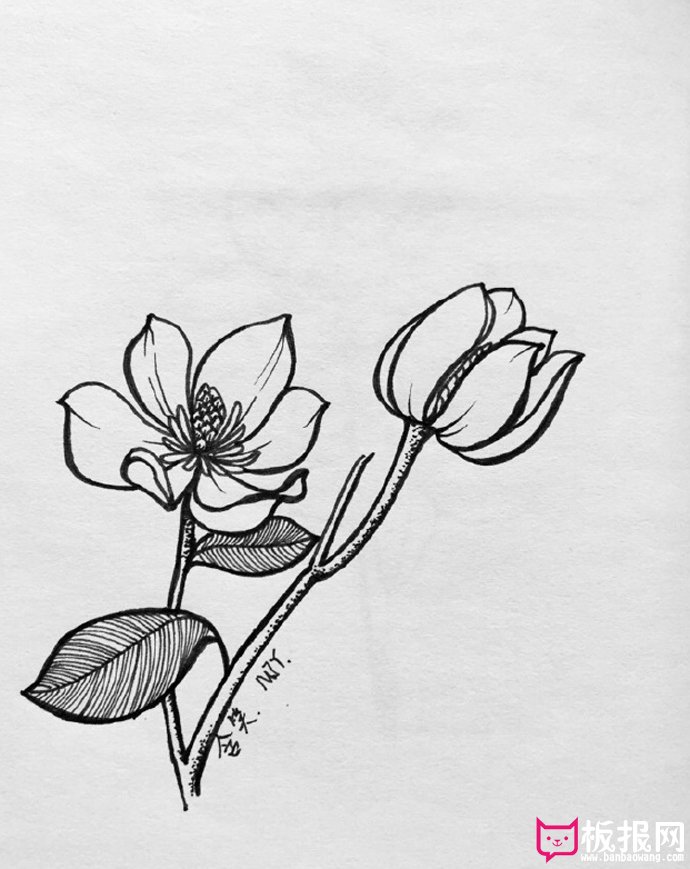 漂亮的植物简笔画大全，春有百花