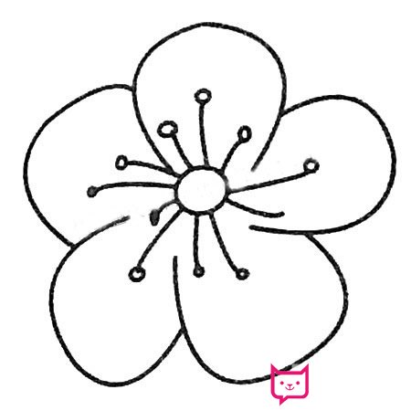 漂亮的简笔画花大全，梅花简笔画