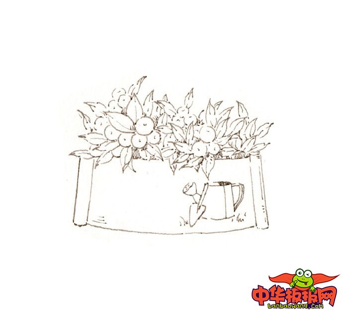 文艺小清新植物简笔画图片大全，儿童简笔画植物花草