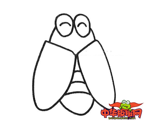 知了简笔画图片大全，夏天的知了