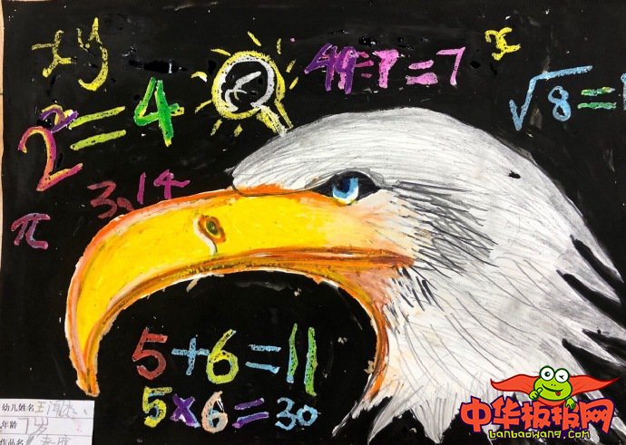 1一6年级画画图片大全，鹰