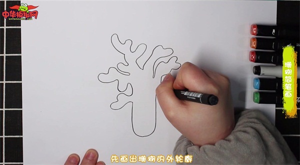 珊瑚简笔画