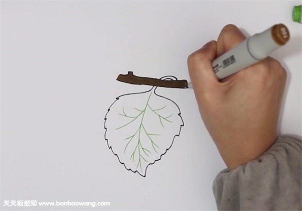 桑叶简笔画