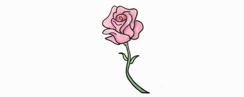 蔷薇花怎么画