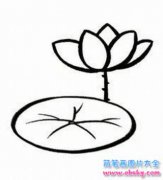 美丽的荷花简笔画画法_怎么画美丽的荷花